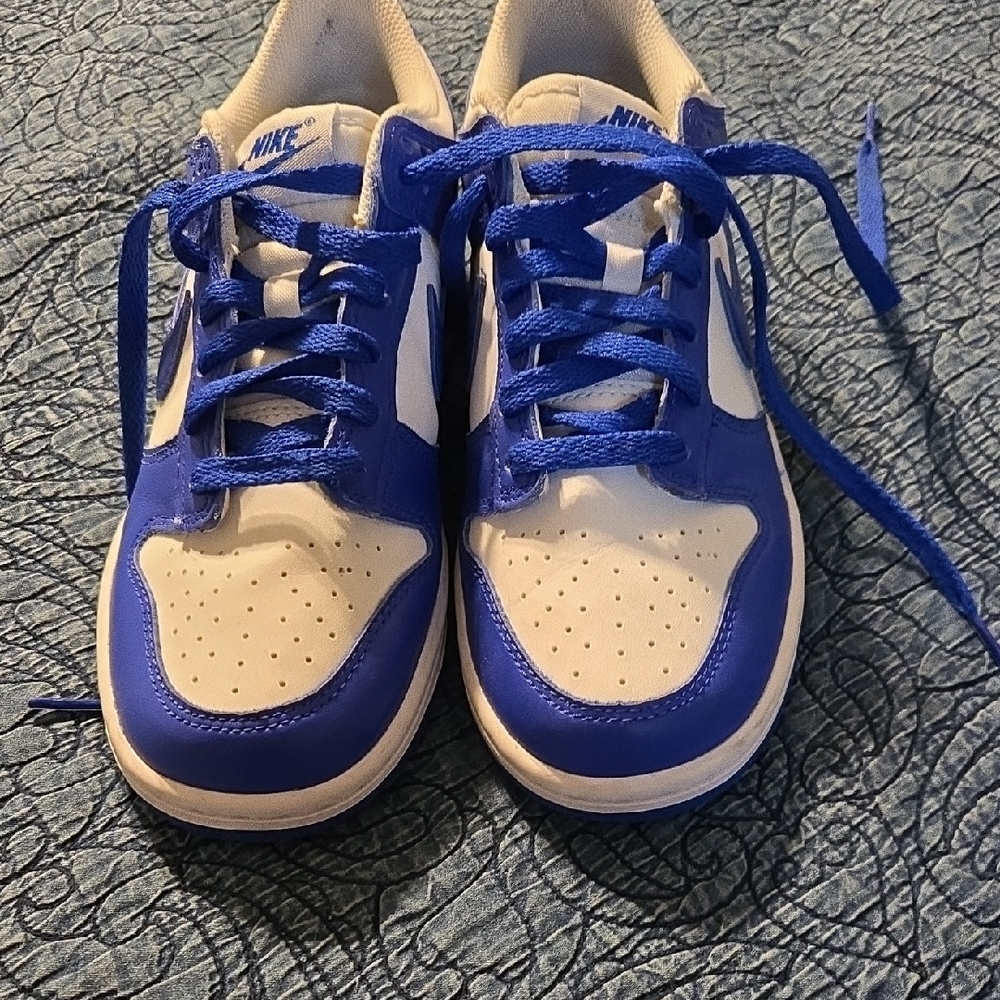 Nike Royal Blue dunks
